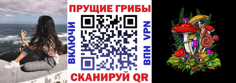 Купить где  Туринск  Галлюциногенные грибы MAGIC MUSHROOMS 