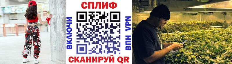 Шишки марихуана Amnesia  Купить где  Туринск 